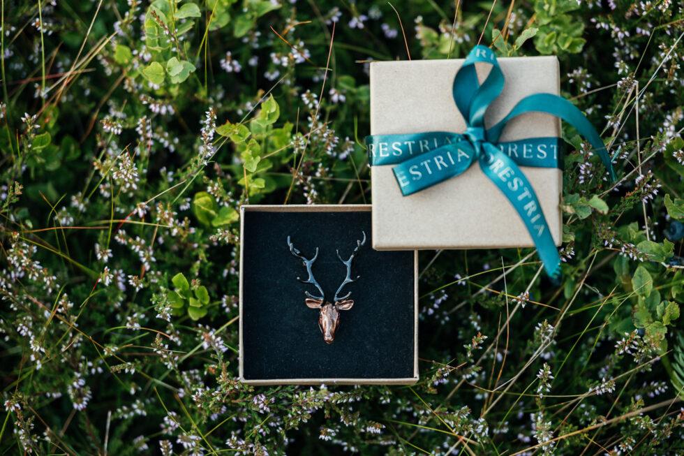 20230814 forestria 0105