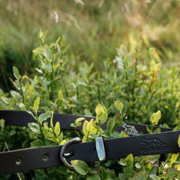 20230814 forestria 0086