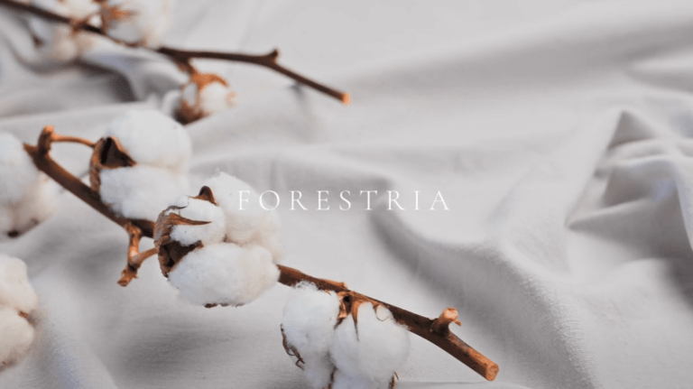 Přírodní materiály