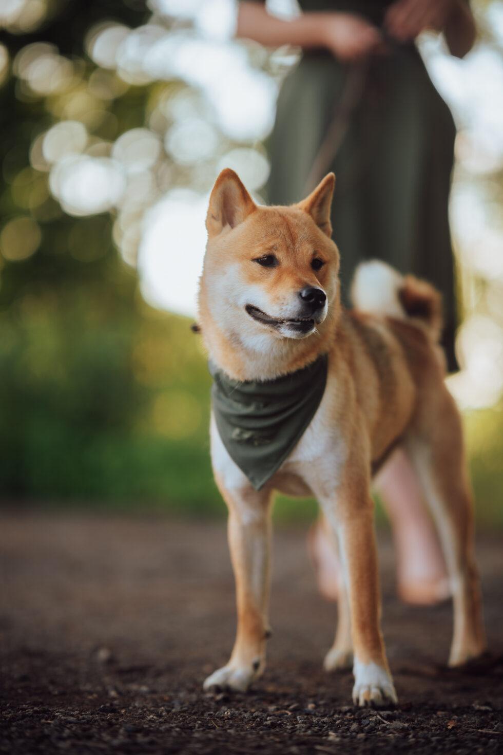 20250713 LM forestria 0059